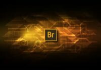 Adobe Bridge CC Crack + Full Version (Latest) Free Download